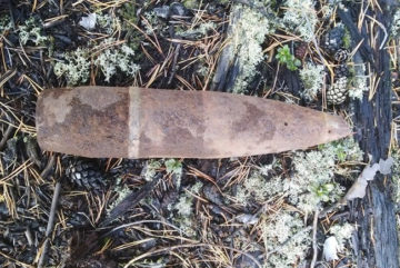 Опасный снаряд времен Великой Отечественной нашли в Вологодской области