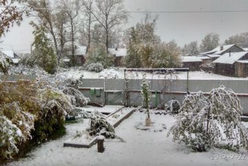 Зима близко: первый снег выпал в Вологодской области