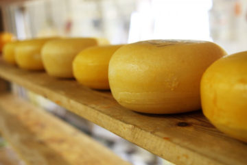 Любители бесплатного сыра попали в полицию в Череповце