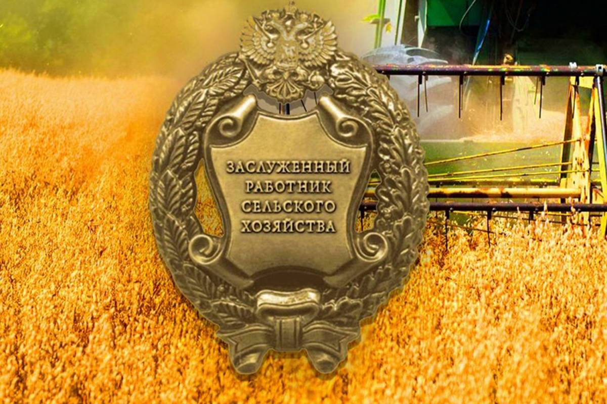 Вологжанке присвоено звание «Заслуженный работник сельского хозяйства»