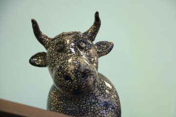 В Юношеском центре областной библиотеки открылась выставка «Вологодская керамика: традиции и современность»