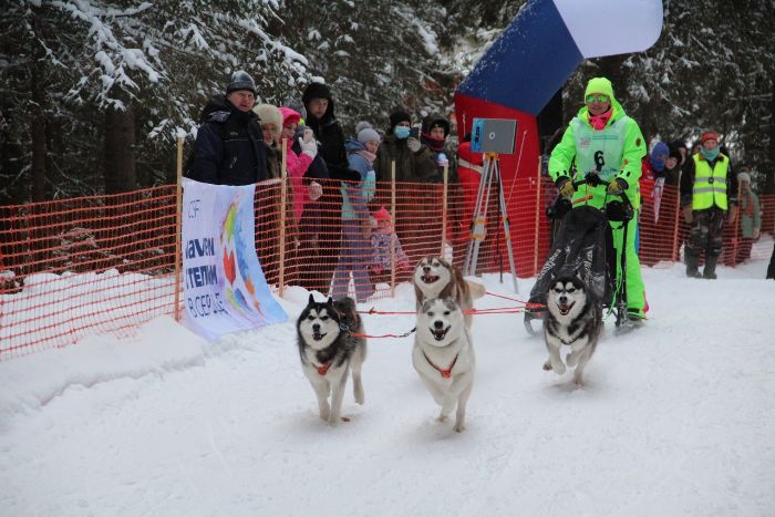 Два представителя Вологодской области победили в гонке на собачьих упряжках «Русский Север»