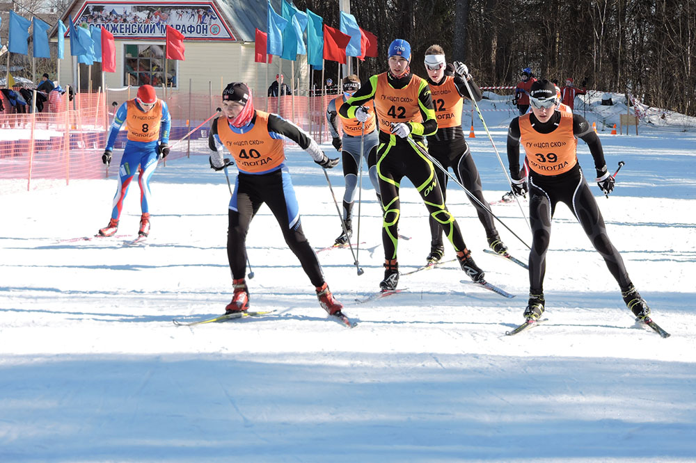 Вологодчина готовится к фестивалю лыжного спорта «Сямженский марафон»