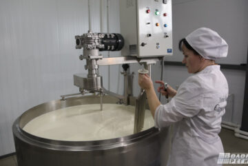 Сыроварня в Липином Бору получила господержку на 5,6 миллиона рублей