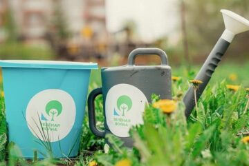 Экологическая акция «Зеленая волна» пройдет в Вологде