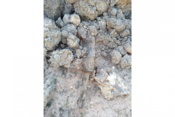Вологжанин обнаружил противотанковую гранату на своем дачном участке