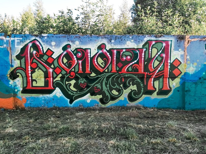 Двадцатиметровое граффити появилась на улице Ярославской в Вологде