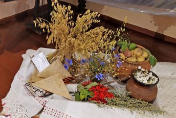 В Устюженском музее готовятся к традиционной цветочной выставке
