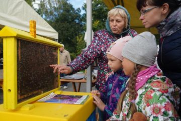 Ярмарка «Дары осени» снова открылась в Вологде