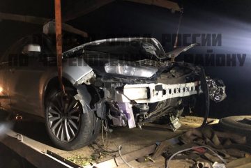 В Череповецком районе автомобиль сбил лося