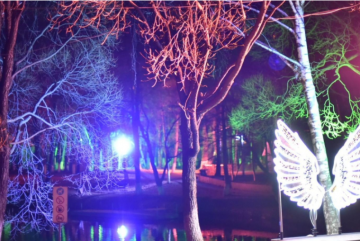 Парки Вологды украшены к новогодним праздникам