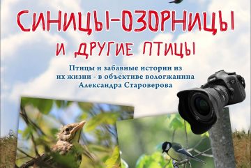 Выставка работ фотографа-натуралиста Александра Староверова откроется в Вологде 18 февраля