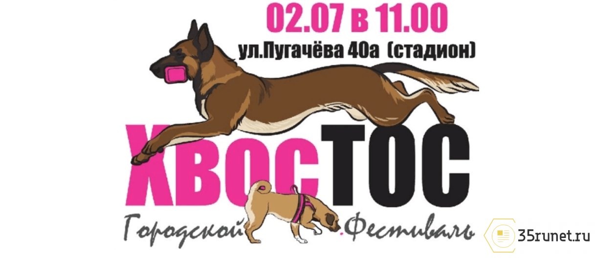 Фестиваль «ХвосТОС» пройдет в Вологде