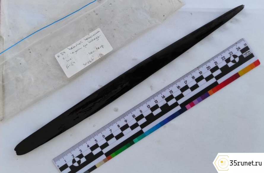 Наконечник копья возрастом 8 тысяч лет обнаружили археологи в Кирилловском районе