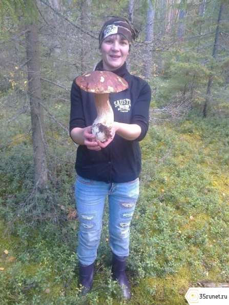 Медсестра из Вологды нашла шестикилограммовый гриб
